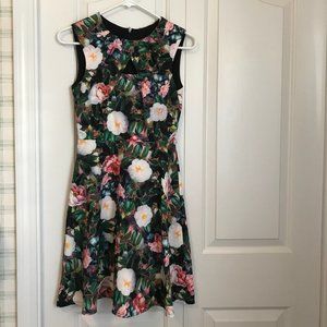 Floral Print Skater Dress
